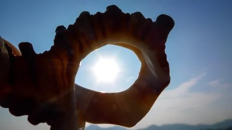 Sunlight Through A Conch Stock Photos