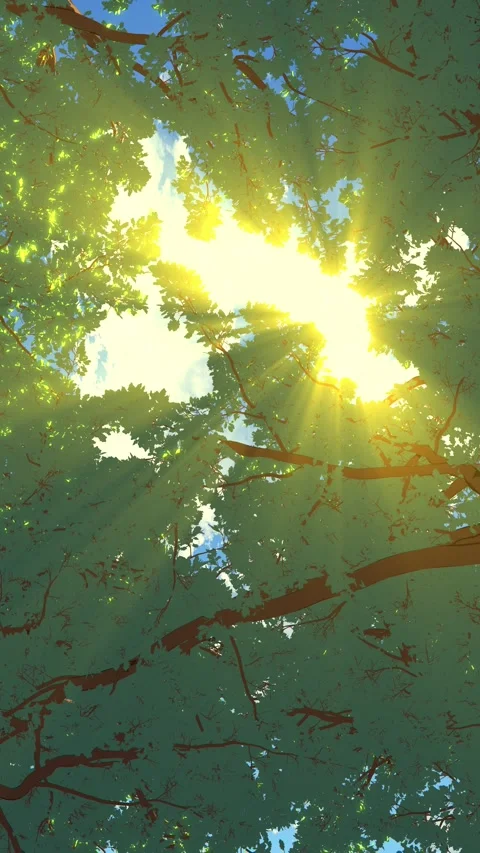 Sunlight Through Green Trees Stock Footage 342013405