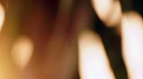 Sunlight through leaves of a tree panning right and de-focused. Stock-Footage 50037530