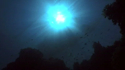 Sunlight through ocean blue Video stock 804688
