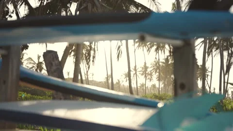 Sunlight through the palm trees at sunset on a tropical beach. Stock Footage 244592044