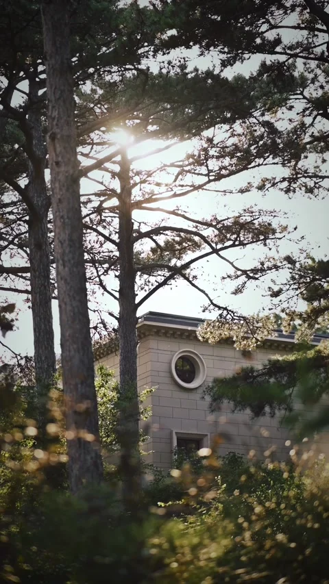 Sunlight Through Pine Trees Illuminating Classic Villa With Round Window Stock Footage 314392828
