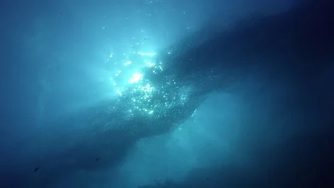 SUNLIGHT THROUGH SARDINES UNDERWATER Video stock 74256606