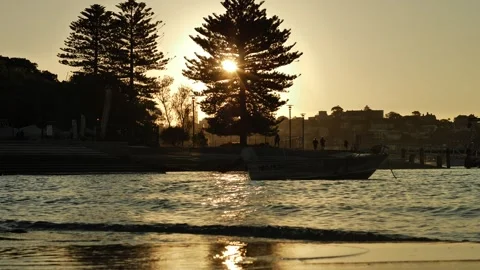 Sunlight through a Silhouette tree at Rose Bay Sydney slow motion 4K Stock Footage 270504706