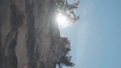 Sunlight Through Snowy Tree with Sparkling Snow Particles Drifting in the 動画素材 308515856
