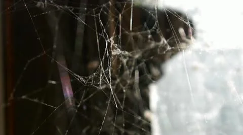 Sunlight through Spiders Web: Gloomy interior. Stock Footage 21760532