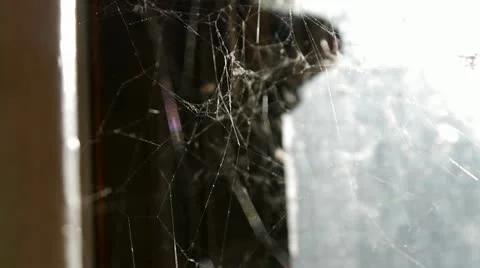 Sunlight through Spiders Web: Gloomy interior. Stock Footage 21760536