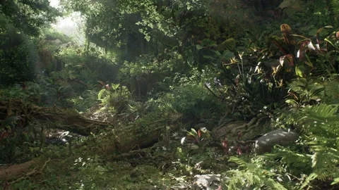 Sunlight Through Tree Leaves Stock Footage 259760172