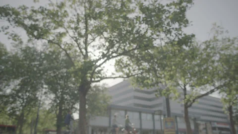 Sunlight through trees in Amsterdam from boat Video stock 140321536