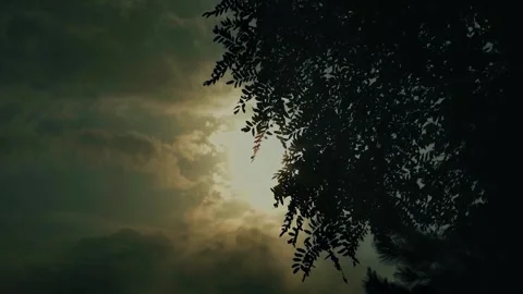 Sunlight through trees, cinematic moody sky, dramatic cloud movement Video stock 311762341