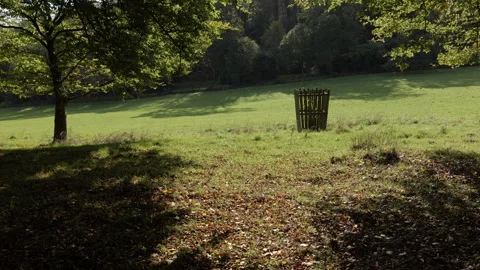 Sunlight through the trees Stock Footage 254719297
