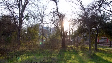 Sunlight Through Trees on Forested Trail with Train Tracks in the Background Stock Footage 301490312