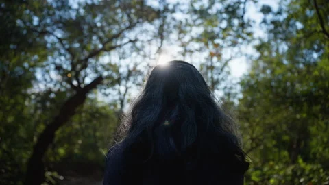 Sunlight Through Trees in Jim Corbett Park’s Serene Forest Morning Stock Footage 332447010