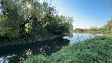 Sunlight Through Trees Over a Calm River 動画素材 318849113