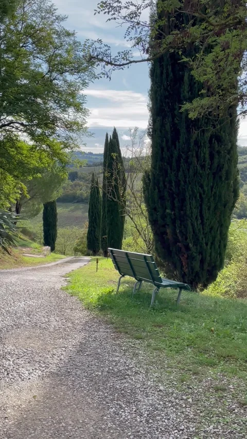 Sunlight Through Trees in Peaceful Italian Tuscany Garden Park 4K Stock Footage 334225825