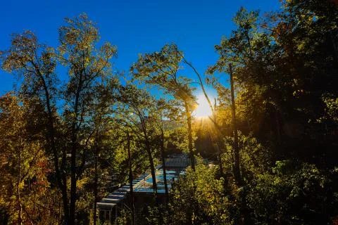 Sunlight through trees Foto stock