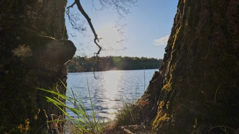 Sunlight Through Trees by Quiet Lake in Slovakia Stock-Footage 333678141