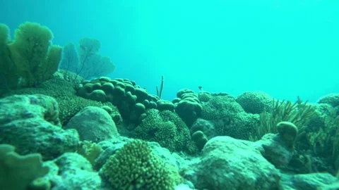 Sunlight through the water Stock-Footage 75248272