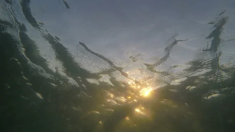 Sunlight through water Stock Footage 85810365