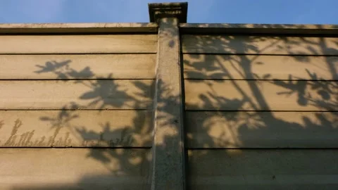 Sunlight Timelapse tree shadow on wall Stock Footage 221688725