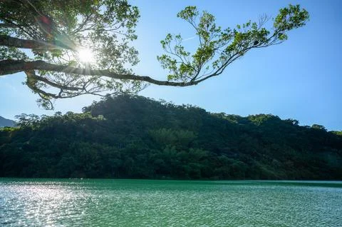The sunlight from the tops of the trees, shining down on the lake. Stock Photos
