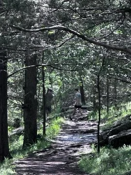 Sunlight Trail Stock Photos