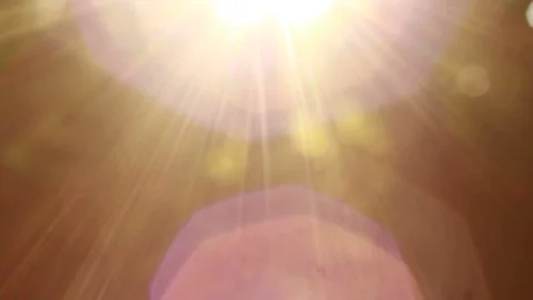 Sunlight in the tree crown Stock Footage 84196287