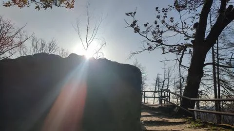 Sunlight trees path sun lights nature travel tourism summer day park landsc.. Stock Photos