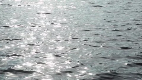 SUNLIGHT TWINKLES ON LAKE Video stock 259320813
