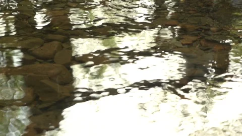 Sunlight Twinkling On Stream Tilt to Reflection of Hikers Crossing Footbridge Stock Footage 96197687