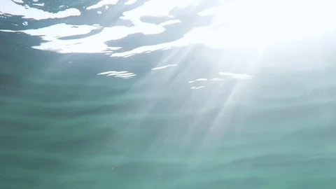 Sunlight under the surface of the water Stock-Footage 79145455