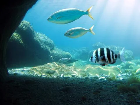 Sunlight undersea Stock Photos
