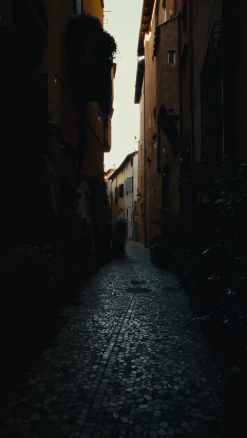 Sunlight View From The Streets Of Bologna Stock Footage 336500408