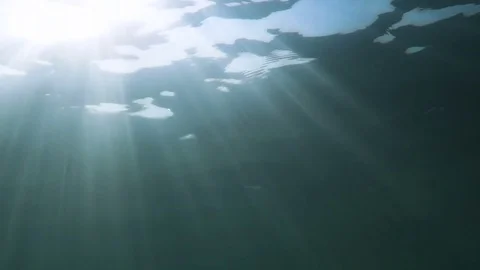 Sunlight in the water column Stock-Footage 79102027