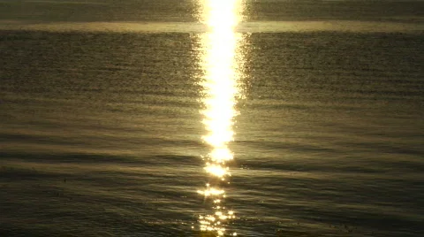 Sunlight on Water Stock-Footage 331506
