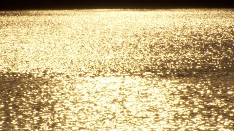 Sunlight on water Stock Footage