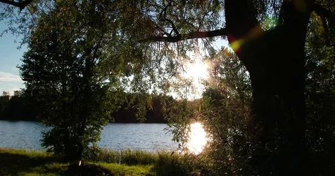 Sunlight on the water, Latvia, Upesciems, ponds of Alberta Stock Footage