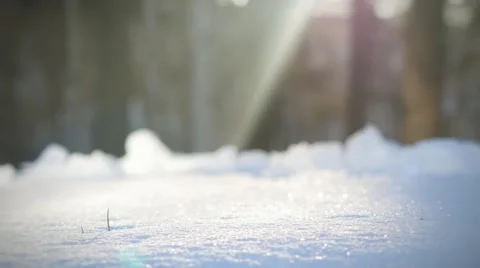 Sunlight winter day a fir tree forest in snow 스톡 동영상 50746543