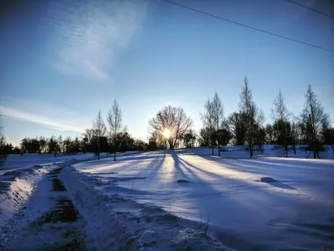 Sunligths through the Trees Foto stock