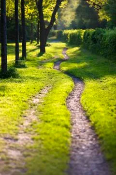 Sunlit and ethereal path Stock Photos