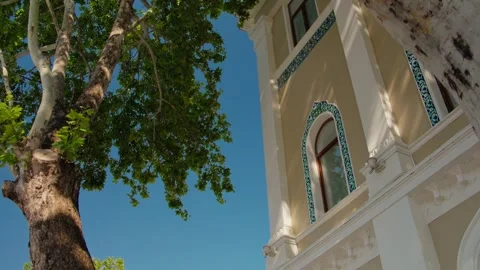 Sunlit Architectural Facade with Trees in Clear Blue Sky Stock Footage 338244005