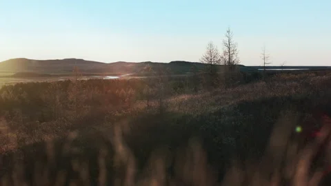 Sunlit autumn grass blowing in wind at sunrise Stock Footage 166503096