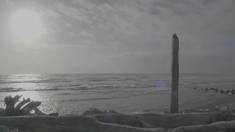 Sunlit Beach 4k Video stock 124508345