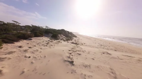 Sunlit beach dunes with coastal shrubs and ocean waves Stock Footage 345058702