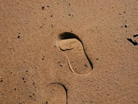 Sunlit beach sand displays a single human foot print Stock Photos