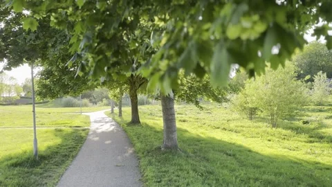 Sunlit bicycle path in green park Stock-Footage 335598756
