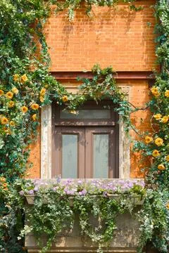 Sunlit Brick Window With Flower Box, Ivy And Yellow Roses On A Charming Balcony Stock Photos
