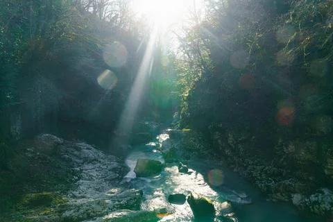 Sunlit Canyon Stream Stock-Fotos