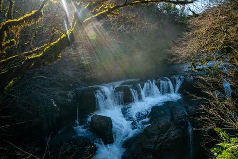 Sunlit Canyon Waterfall Stock-Fotos