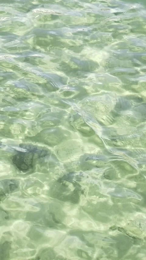 Sunlit Clear Shallow Water Ripples With Sparkling Reflections 4K Vertical Video Stock Footage 333403565